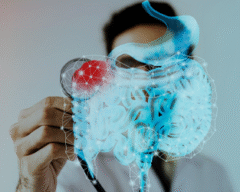 Endocrinologia – Prof Mauricio Forneiro