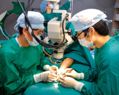 Cirurgia Reconstrutiva Avançada de Membros e Tronco