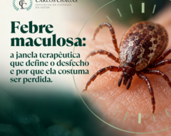 Febre maculosa: a janela terapêutica que define o desfecho e por que ela costuma ser perdida